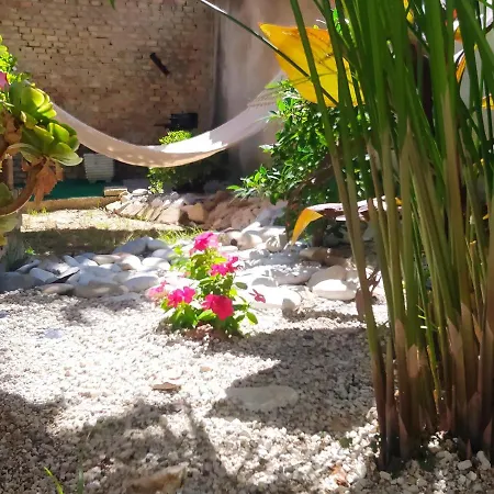 Il Giardino Degli Ulivi House Дом отдыха *